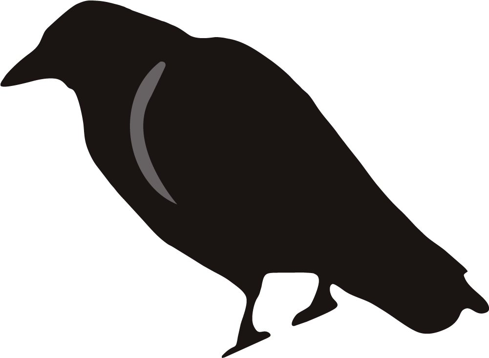 Brds Clipart Rook - Crow Silhouette (1000x1000), Png Download