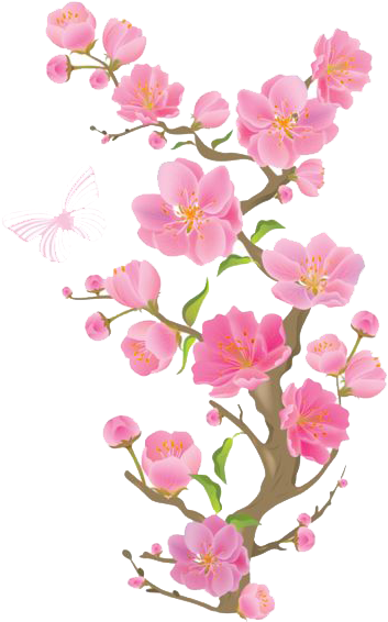 Spring - Cherry Blossom Transparent Background (425x600), Png Download