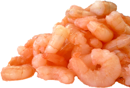 Free Icons Png - Cooked And Peeled Shrimp (428x354), Png Download