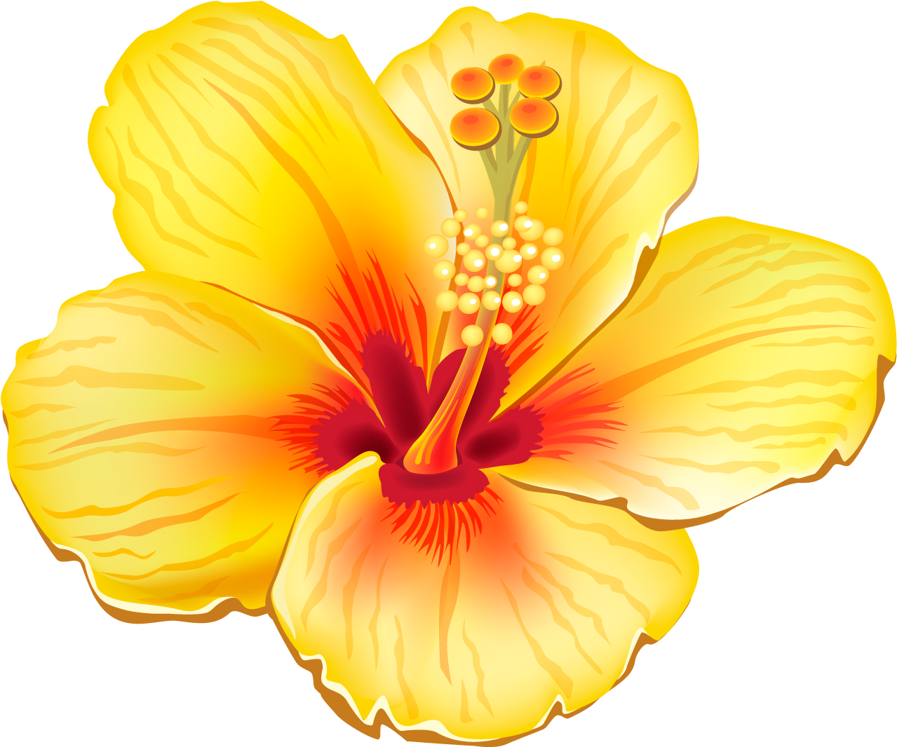 Tropical Orange Hibiscus Png - Yellow Hibiscus Shower Curtain (600x511), Png Download
