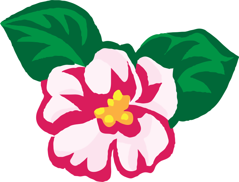 Africa Violet - National Flower Of Nepal Drawing (800x609), Png Download