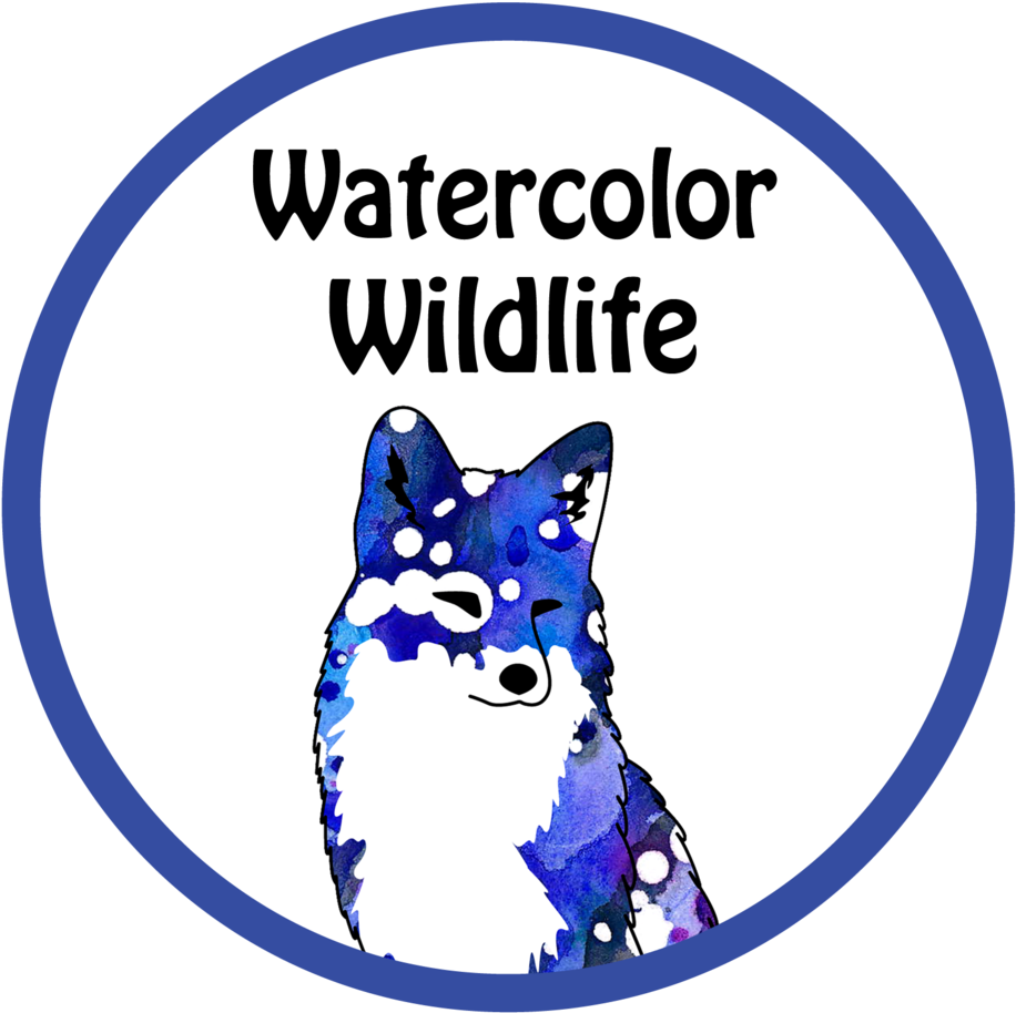Website Shop Watercolor Wildlife Icons Pngs - Portable Network Graphics (1000x1000), Png Download