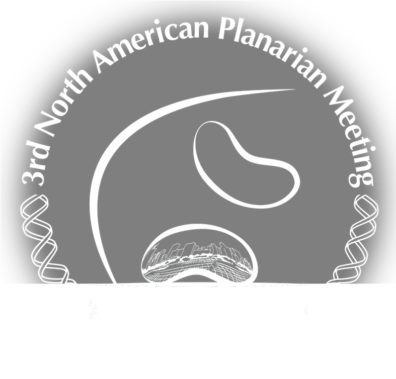 Meeting Logo-fade - North America (786x786), Png Download