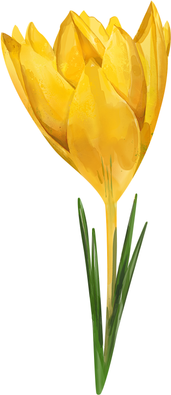Watercolor Flowers For Collages - Watercolor Flower Png Yellow (600x934), Png Download