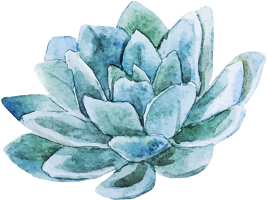 Picture - Vector Succulents Watercolor Png (403x300), Png Download