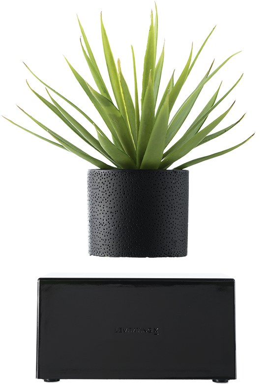 Plant Wireless - Job Portal Apps Icons (1000x1000), Png Download