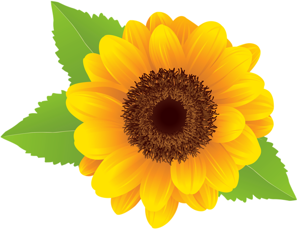 Clip Art Sun Flower (600x460), Png Download