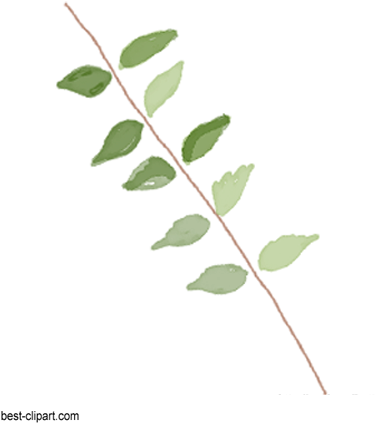 Light And Dark Leaves On A Branch, Watercolor Graphic - Watercolor Painting (450x432), Png Download