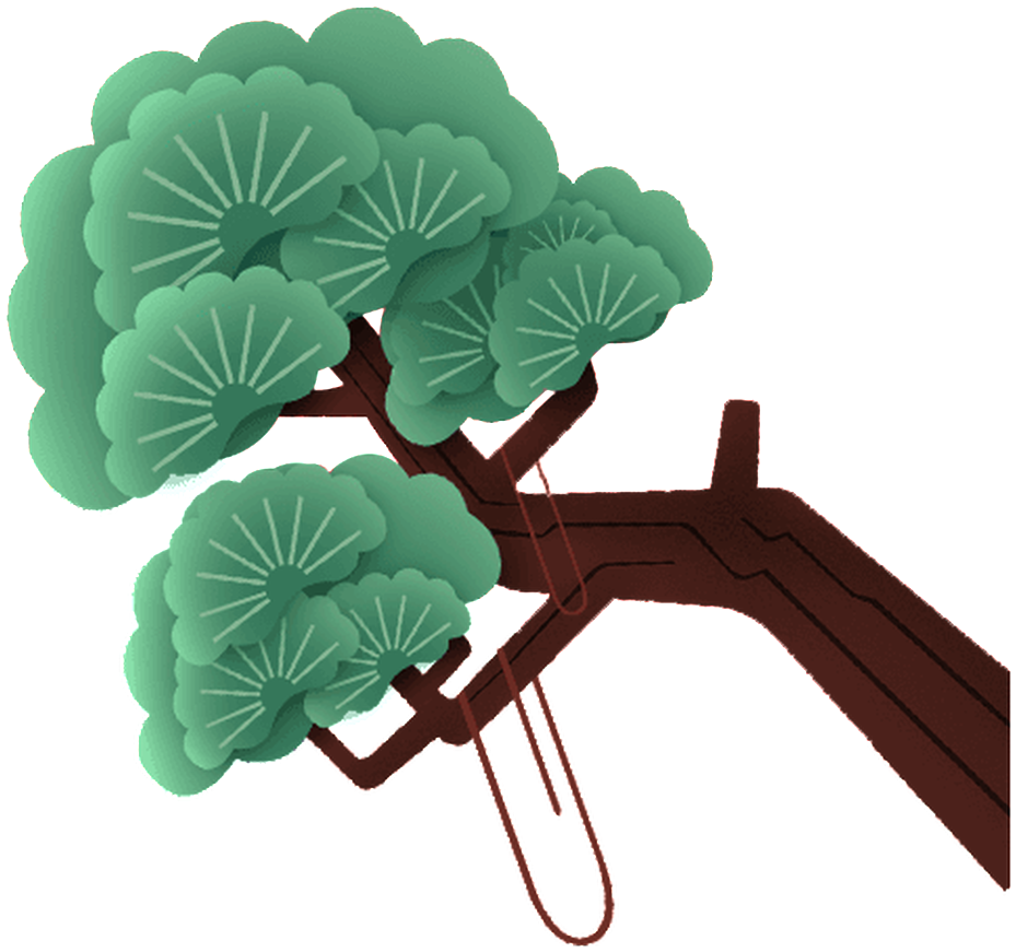 Slanted Pine Tree Transparent Illustration About Vector,decorative - 松柏 卡通 (1024x1254), Png Download
