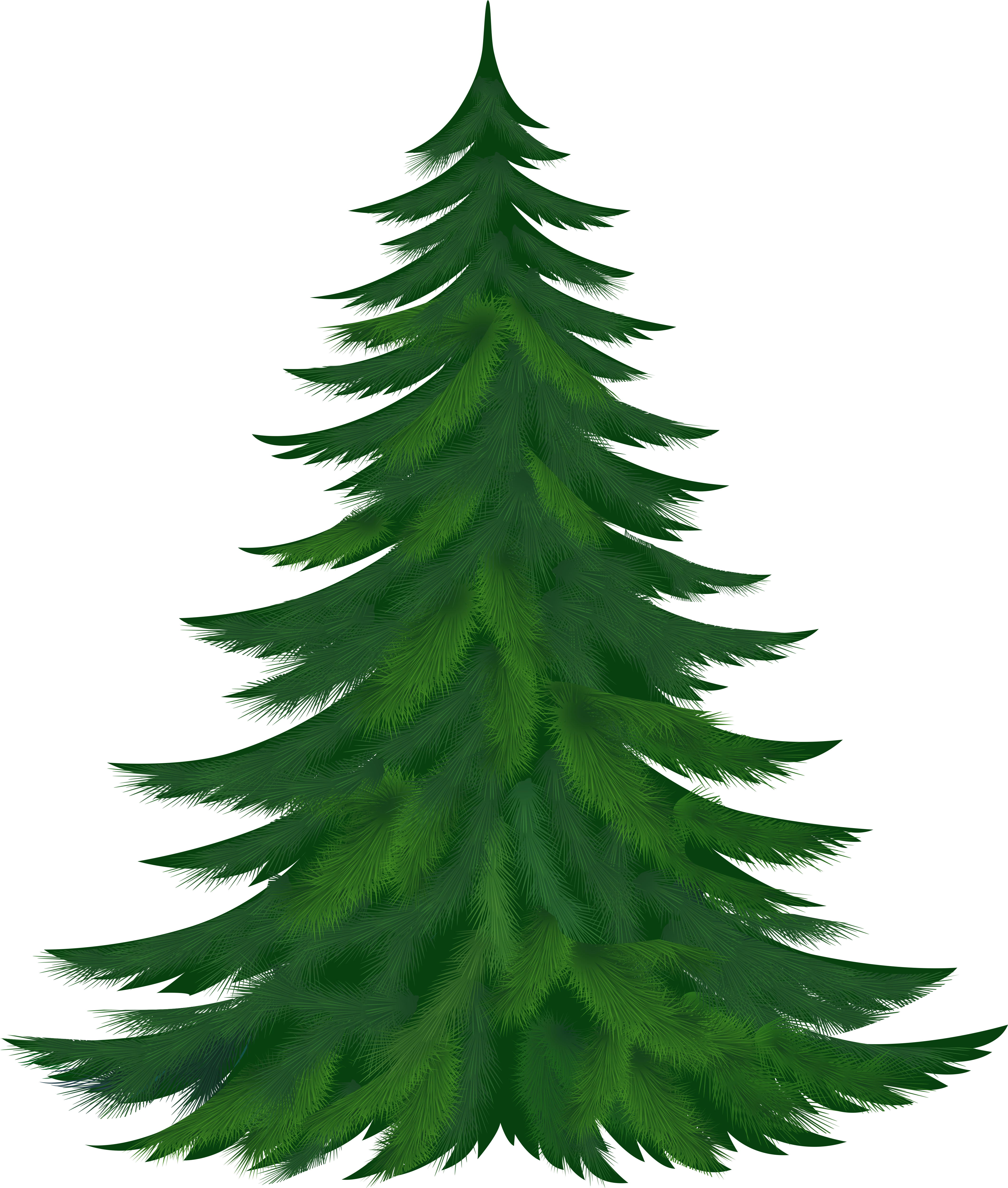 Pine Tree Clipart (4469x5265), Png Download