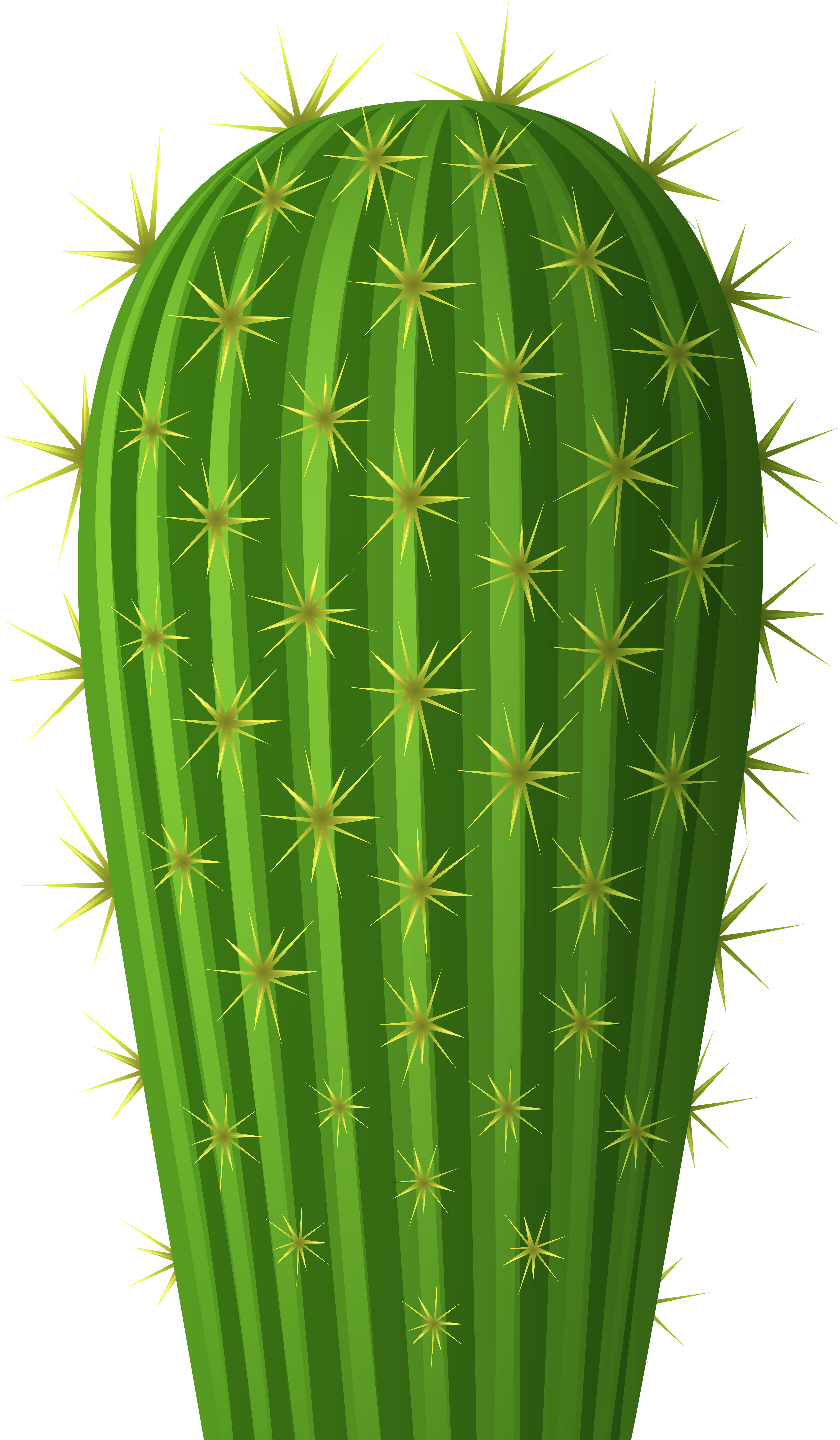 Selenicereus Hamatus (4766x8000), Png Download