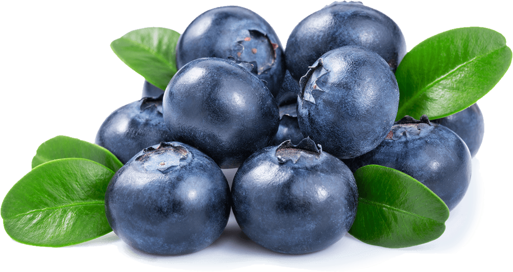 Blueberries Png (1047x556), Png Download