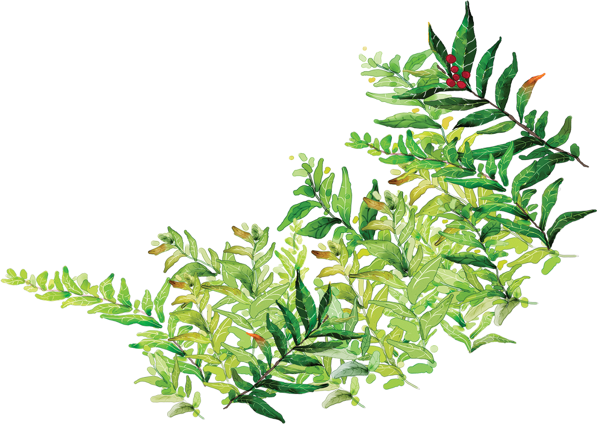 Report Abuse - Clip Art (1365x1024), Png Download