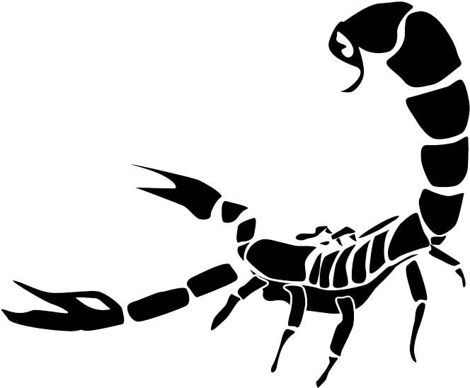 Scorpion - Scorpion Png (800x708), Png Download