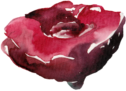 This Graphics Is Creative Flower, Transparent, Watercolor - Handbag (1024x1024), Png Download