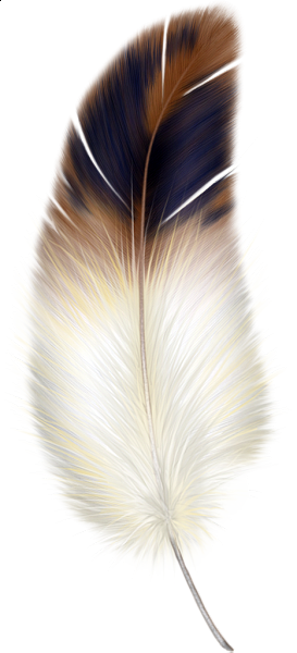 Brown Y La Pluma Blanca Clipart More Feather - Brown And White Feather (273x600), Png Download