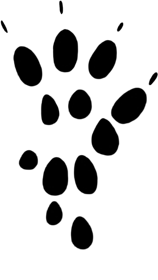 Mouse Klise Thegreaterchurch Co - Mouse Paw (815x1063), Png Download
