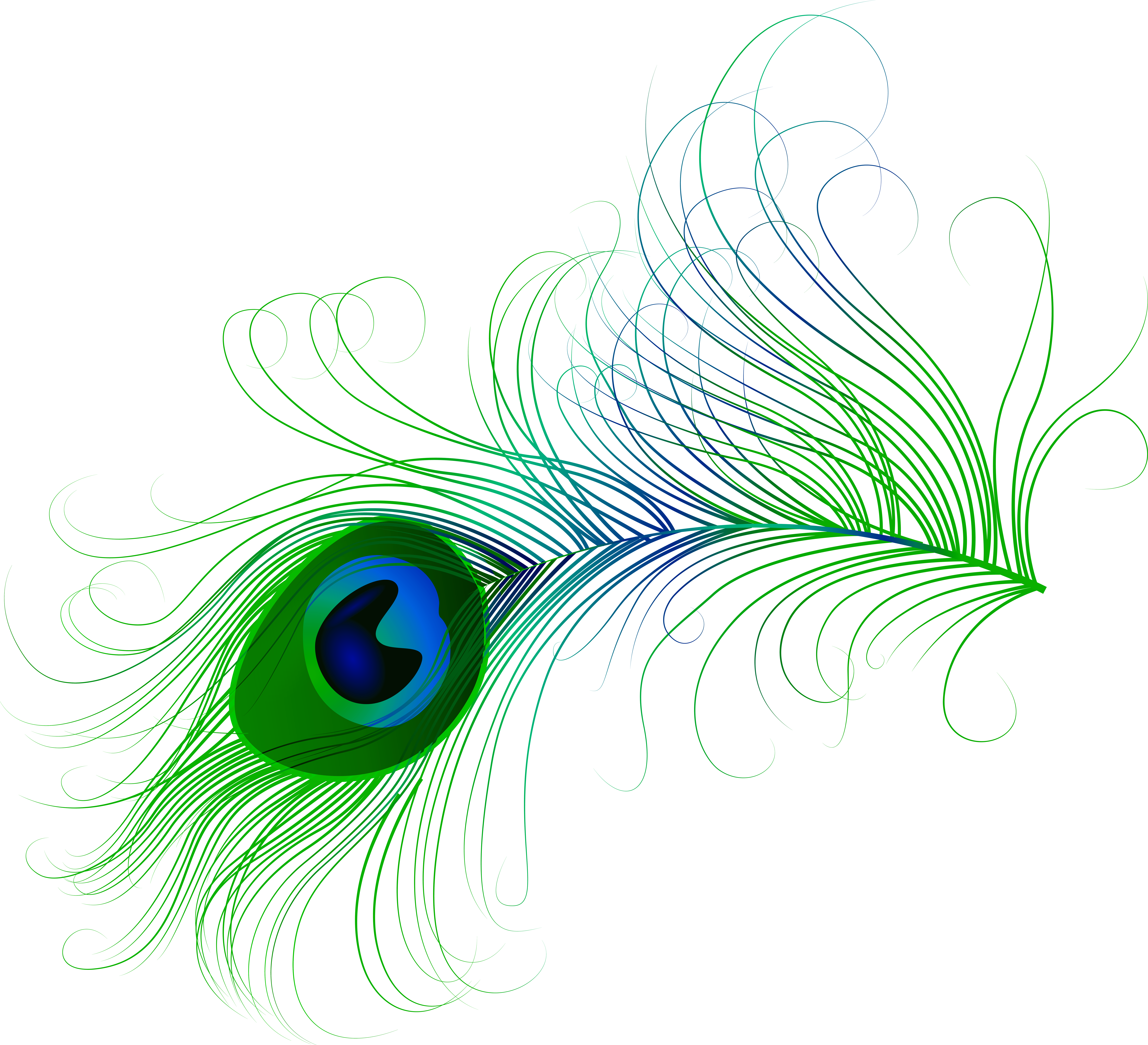 Feather Png (8000x7282), Png Download