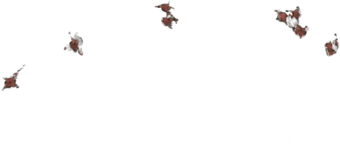 Lioden Scar Png (640x500), Png Download