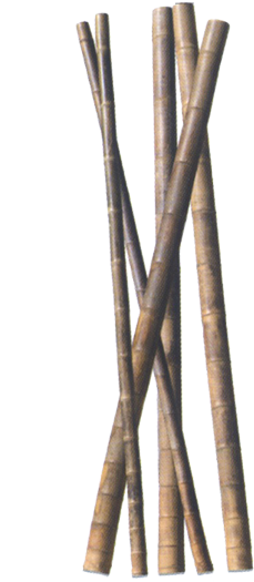 Bamboo Stick Png Download (300x555), Png Download