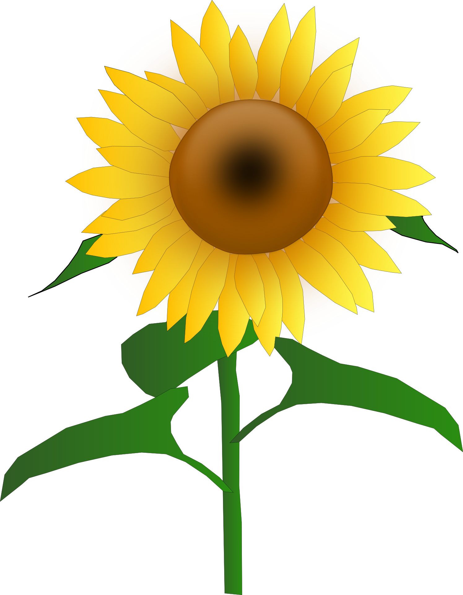 Sunflower Clipart Commercial Use - Sunflower Clipart (1495x1920), Png Download