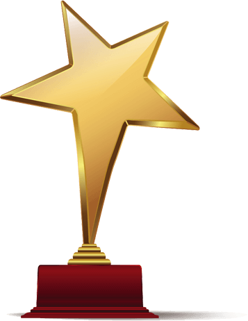Award Image - Gold Star Trophy Png (357x462), Png Download