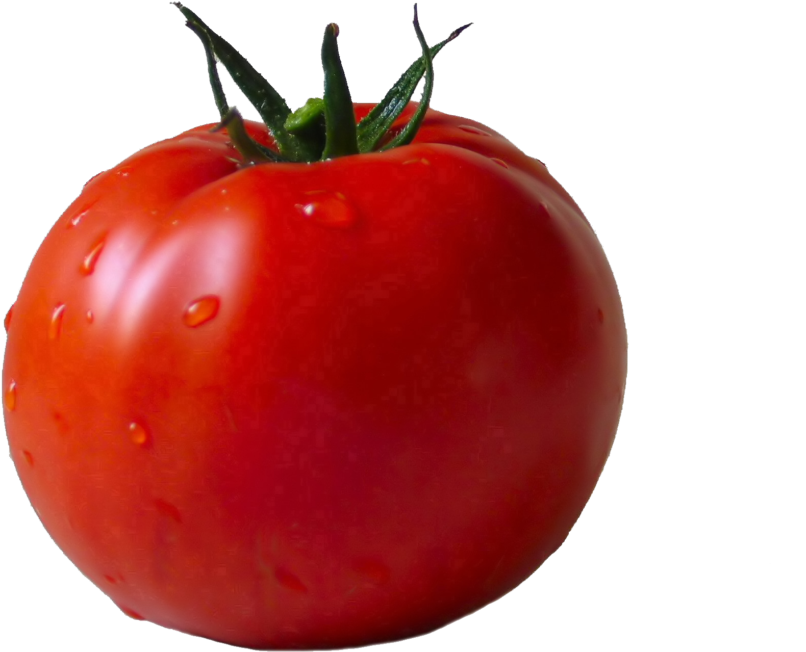 Tomato Png (1996x1596), Png Download