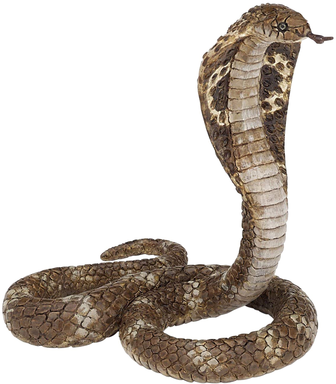 King Cobra Png Clipart - King Cobra Png (1198x1367), Png Download