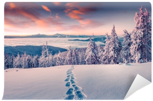 Foggy Winter Sunrise In The Snowy Mountain Wall Mural - Snow (400x400), Png Download