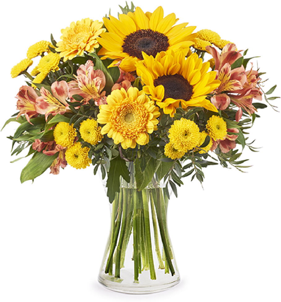 Sunflowers & Chrysanthemums - Sunflower In Mason Jar (480x480), Png Download
