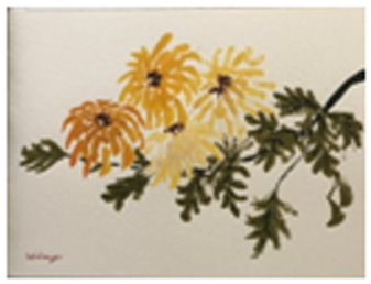 Chrysanthemum (400x400), Png Download