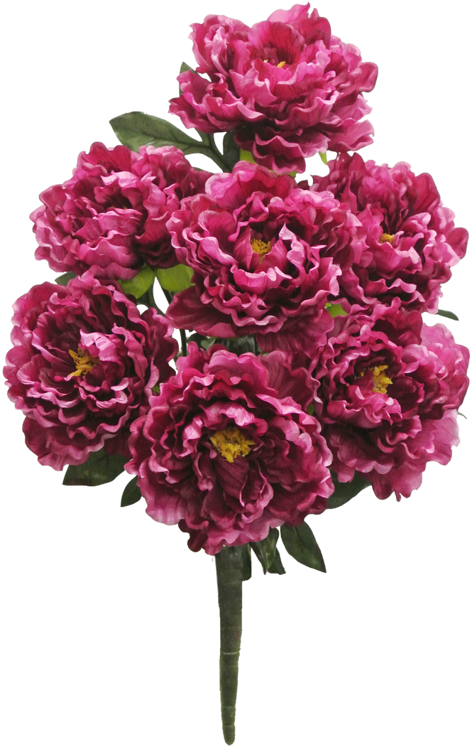 Beauty Peony Bush X7 Sale Item - Love Flower (700x1053), Png Download
