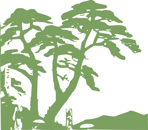 Rainforest Edit Clip Art At Clker - Green Trees Silhouette Mugs (600x529), Png Download