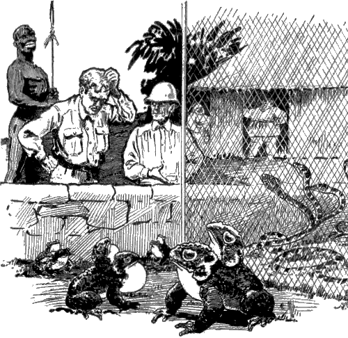 Hascombe - Julian Huxley The Tissue Culture King (500x486), Png Download