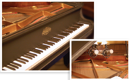 Erard Baby Grand Piano - Roland Piano Plus 400 Price (455x283), Png Download