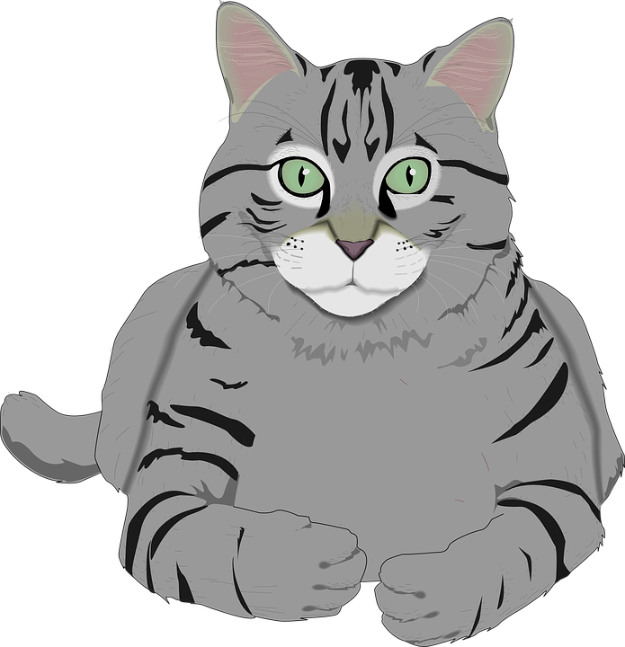 Whiskers Clipart Gray - Grey Tabby Cat Cartoon (695x720), Png Download