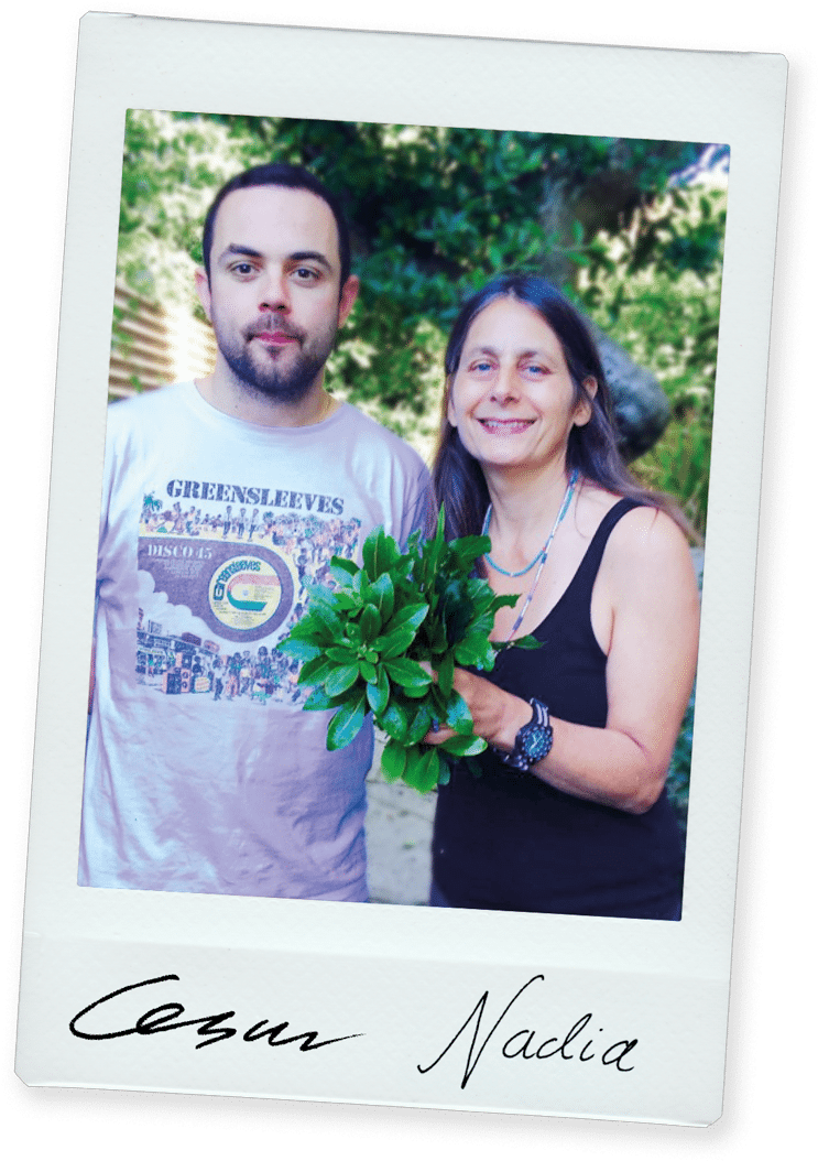 The Ice Kitchen (800x1112), Png Download