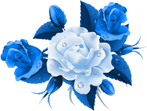Blue Roses Png - Bouquet Of Roses Vector Free (600x488), Png Download