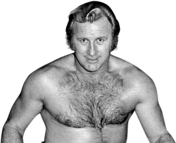 See More - Nick Bockwinkel (902x507), Png Download