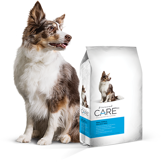 Prescription Renal Dog Food - Diamond Care Renal Dog (800x750), Png Download