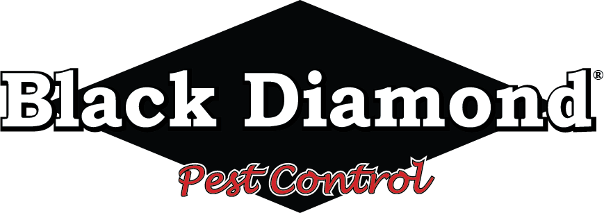Black Diamond Logo - Black Diamond Pest Control (869x307), Png Download