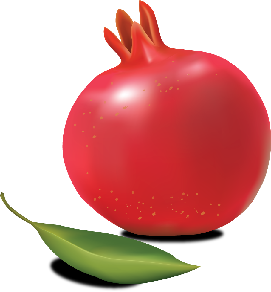 Pomegranate Clipart Png (908x1113), Png Download