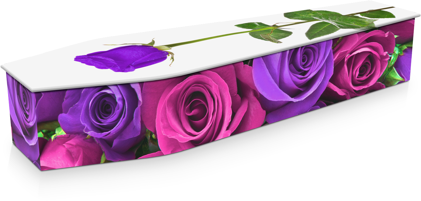 See More Pink & Purple Roses - Jason Killick Funerals (1549x1037), Png Download