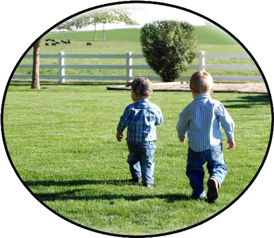 Country Boys Landscape, Llc (572x485), Png Download