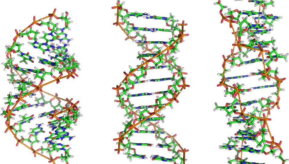 A Beautiful Microbe - Genetic Code (1000x541), Png Download