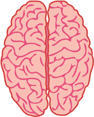 View, Total - Types Of Brain Haemorrhage (339x431), Png Download