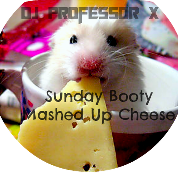 Nom Nom Nom Cheese (600x600), Png Download