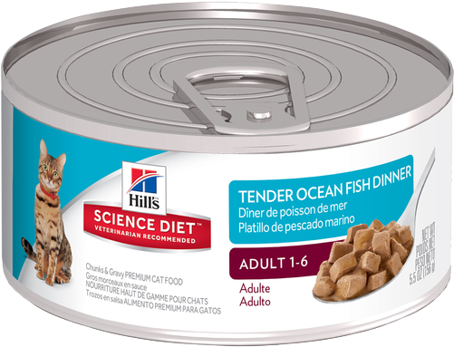 Sd Adult Tender Ocean Fish Dinner Cat Food - Hills Canned Pet Food (500x500), Png Download