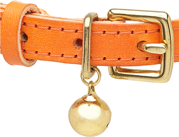 Tempesti Leather Cat Collar Orange C (600x600), Png Download