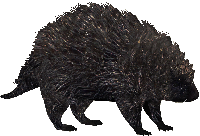North American Porcupine 3 - North American Porcupine Figure (847x847), Png Download